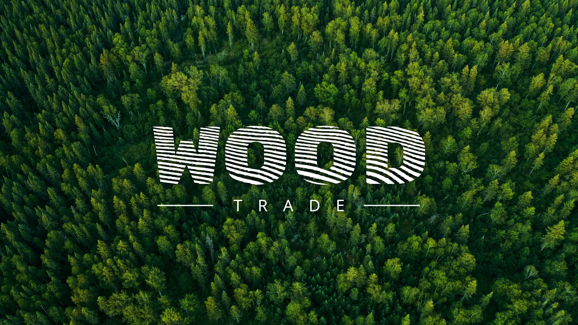 Разработка интернет-магазина компании «Wood Trade» в Балаково